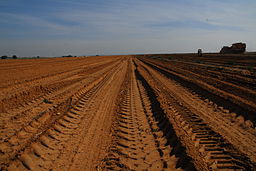 אלמנט האדמה