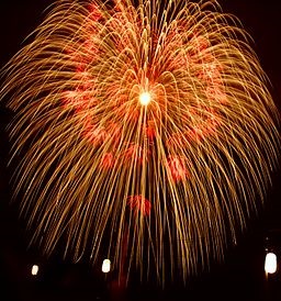 By Kropsoq (photo taken by Kropsoq) [GFDL (http://www.gnu.org/copyleft/fdl.html), CC-BY-SA-3.0 (http://creativecommons.org/licenses/by-sa/3.0/) or CC-BY-SA-2.1-jp (http://creativecommons.org/licenses/by-sa/2.1/jp/deed.en)], via Wikimedia Commons