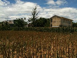 By Dragfyre (Own work) [CC-BY-SA-3.0 (http://creativecommons.org/licenses/by-sa/3.0)], via Wikimedia Commons